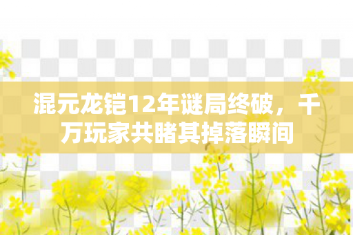 混元龙铠12年谜局终破,千万玩家共睹其掉落瞬间 混元龙铠12年谜局终破,千万玩家共睹其掉落瞬间