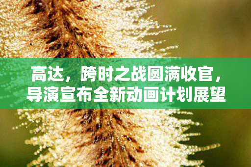 高达，跨时之战圆满收官，导演宣布全新动画计划展望未来