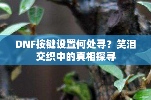 DNF按键设置何处寻?笑泪交织中的真相探寻 DNF按键设置何处寻?笑泪交织中的真相探寻