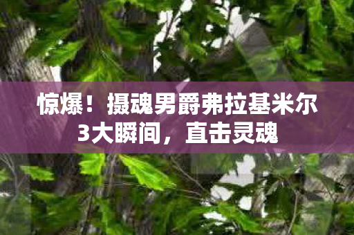 惊爆!摄魂男爵弗拉基米尔3大瞬间,直击灵魂 惊爆!摄魂男爵弗拉基米尔3大瞬间,直击灵魂