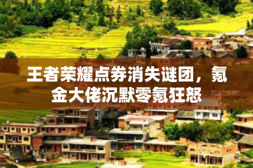 王者荣耀点券消失谜团，氪金大佬沉默零氪狂怒