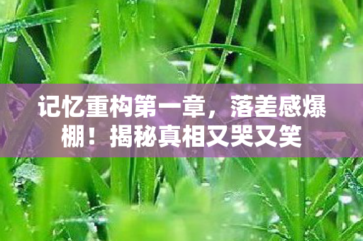 记忆重构第一章，落差感爆棚！揭秘真相又哭又笑
