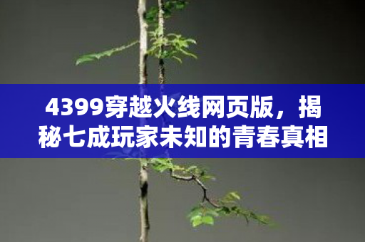 4399穿越火线网页版,揭秘七成玩家未知的青春真相 4399穿越火线网页版,揭秘七成玩家未知的青春真相