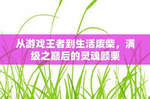 从游戏王者到生活废柴，满级之巅后的灵魂颤栗