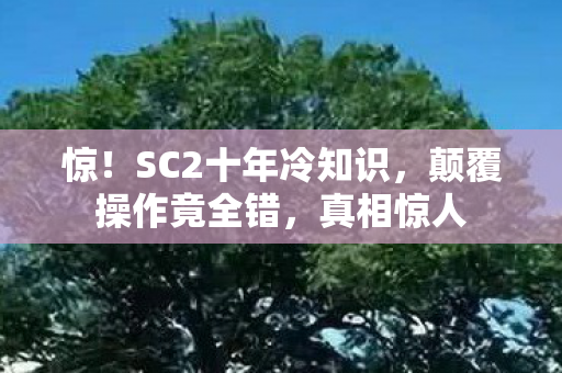 惊!SC2十年冷知识,颠覆操作竟全错,真相惊人 惊!SC2十年冷知识,颠覆操作竟全错,真相惊人