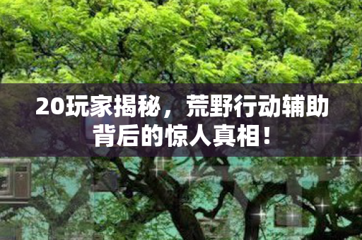 20玩家揭秘，荒野行动辅助背后的惊人真相！