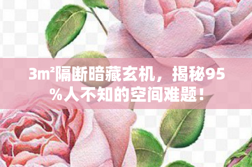 3㎡隔断暗藏玄机，揭秘95%人不知的空间难题！