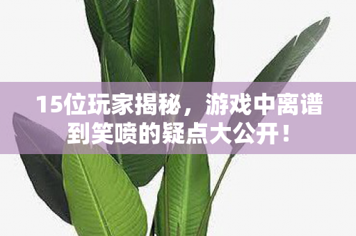 15位玩家揭秘，游戏中离谱到笑喷的疑点大公开！