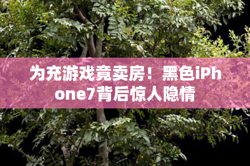 为充游戏竟卖房！黑色iPhone7背后惊人隐情