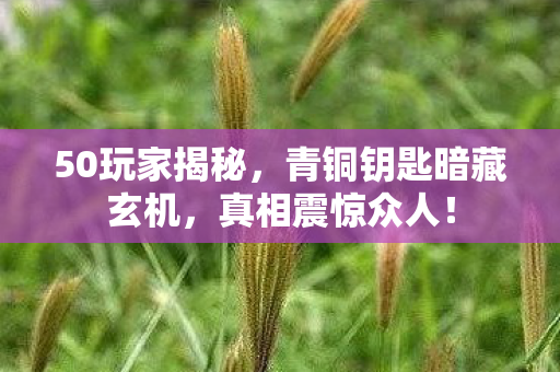 50玩家揭秘，青铜钥匙暗藏玄机，真相震惊众人！