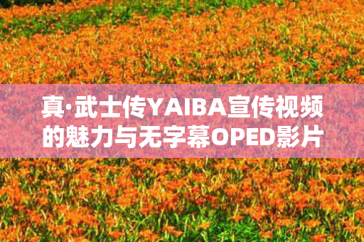 真·武士传YAIBA宣传视频的魅力与无字幕OPED影片的挑战