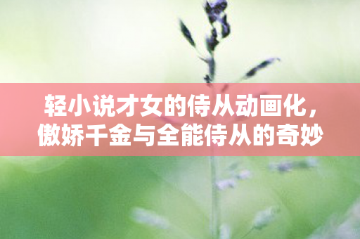 轻小说才女的侍从动画化，傲娇千金与全能侍从的奇妙邂逅