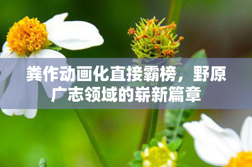 粪作动画化直接霸榜，野原广志领域的崭新篇章