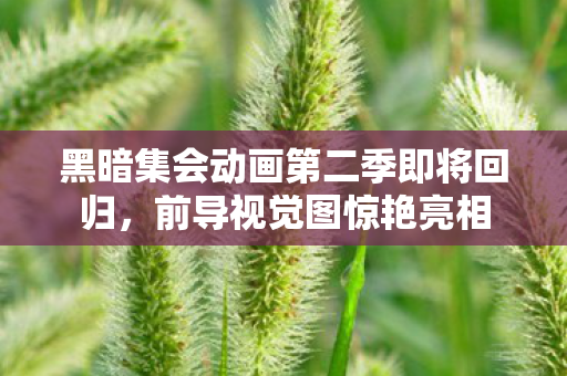 黑暗集会动画第二季即将回归，前导视觉图惊艳亮相