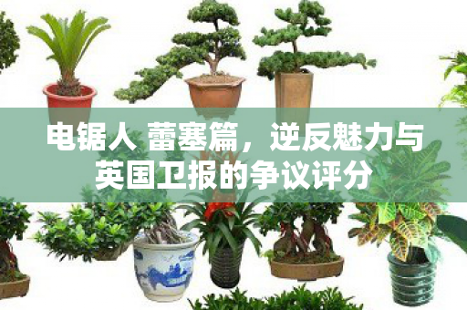 电锯人 蕾塞篇，逆反魅力与英国卫报的争议评分