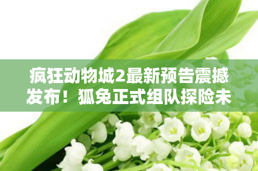 疯狂动物城2最新预告震撼发布！狐兔正式组队探险未知世界