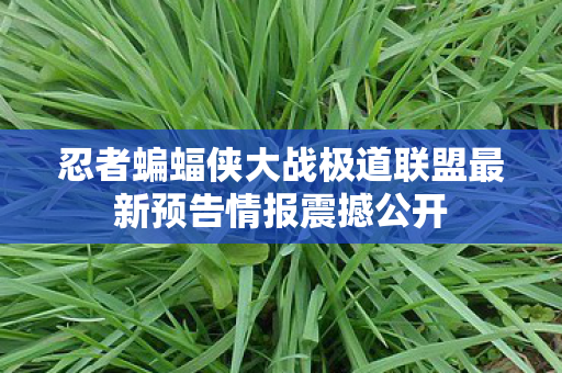 忍者蝙蝠侠大战极道联盟最新预告情报震撼公开