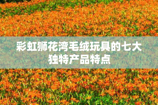 彩虹狮花湾毛绒玩具的七大独特产品特点