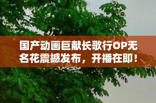 国产动画巨献长歌行OP无名花震撼发布，开播在即！