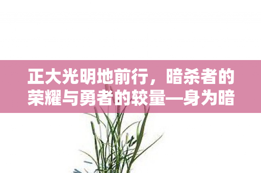 正大光明地前行，暗杀者的荣耀与勇者的较量—身为暗杀者我比勇者还强动画化