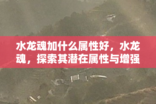 水龙魂加什么属性好，水龙魂，探索其潜在属性与增强效果，水龙魂，探索潜在属性与增强效果