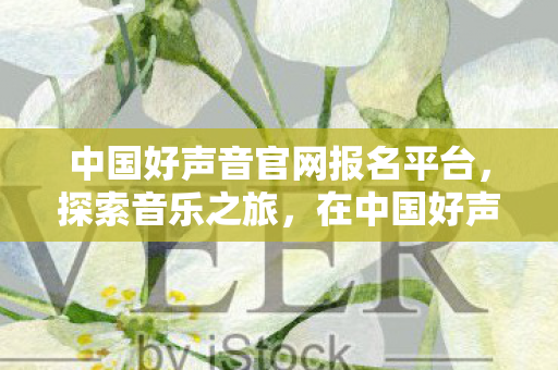 中国好声音官网报名平台，探索音乐之旅，在中国好声音官网报名的全攻略，中国好声音官网报名全攻略，探索音乐之旅，开启你的音乐梦想