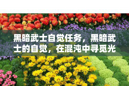 黑暗武士自觉任务，黑暗武士的自觉，在混沌中寻觅光明，黑暗武士的自觉，在混沌中寻觅光明