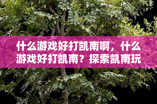 探索凯南玩家的游戏选择图片