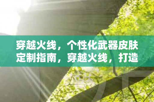 穿越火线，个性化武器皮肤定制指南，穿越火线，打造你的专属武器皮肤