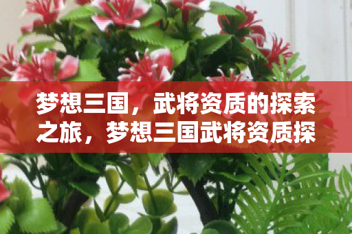 梦想三国，武将资质的探索之旅，梦想三国武将资质探索之旅，解锁武将潜能，打造无敌军团