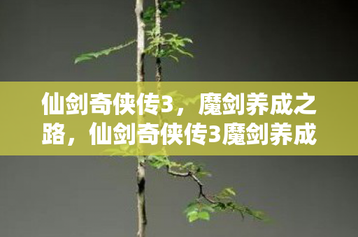 仙剑奇侠传3，魔剑养成之路，仙剑奇侠传3魔剑养成之路，揭秘其成长与战斗技巧