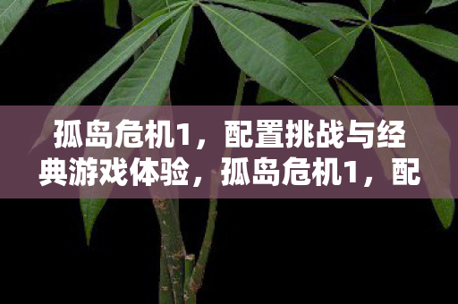 孤岛危机1，配置挑战与经典游戏体验，孤岛危机1，配置挑战下的经典游戏体验