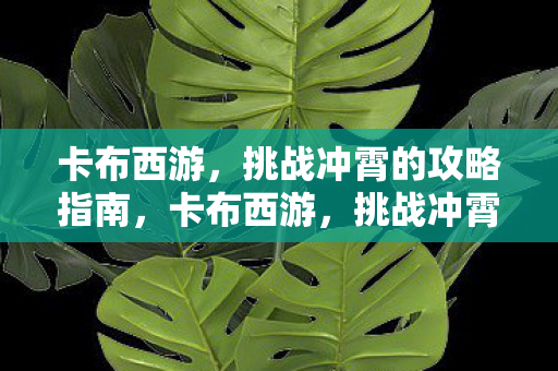 卡布西游，挑战冲霄的攻略指南，卡布西游，挑战冲霄攻略全解析