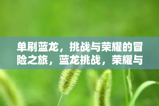 单刷蓝龙，挑战与荣耀的冒险之旅，蓝龙挑战，荣耀与冒险的冒险之旅