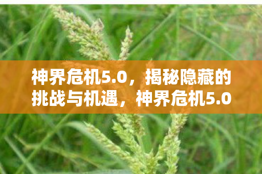 神界危机5.0，揭秘隐藏的挑战与机遇，神界危机5.0，挑战与机遇的隐秘揭秘