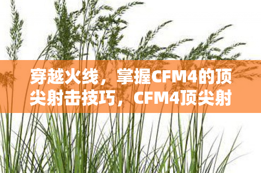 穿越火线，掌握CFM4的顶尖射击技巧，CFM4顶尖射击技巧，穿越火线中的制胜秘诀