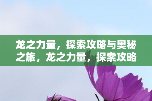 龙之力量，探索攻略与奥秘之旅，龙之力量，探索攻略与奥秘之旅