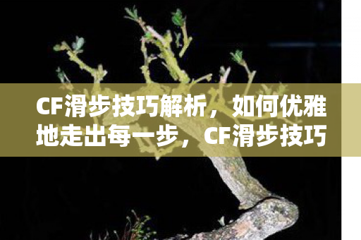 CF滑步技巧解析，如何优雅地走出每一步，CF滑步技巧大揭秘，优雅步伐的奥秘