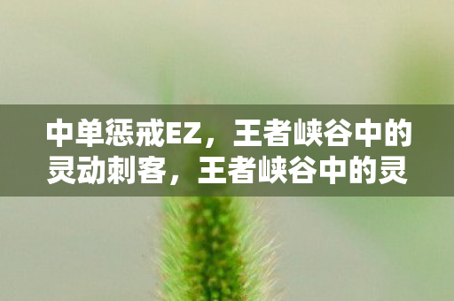 王者峡谷中的灵动刺客图片