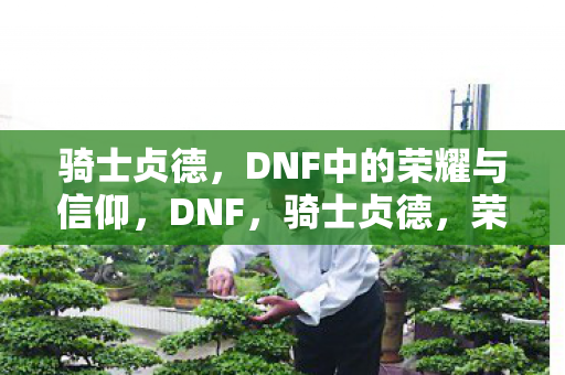 DNF中的荣耀与信仰图片