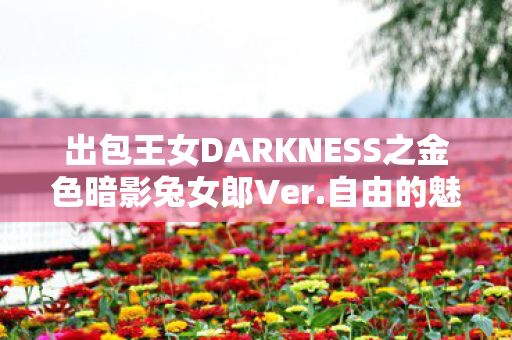 出包王女DARKNESS之金色暗影兔女郎Ver.自由的魅力与暗色的诱惑