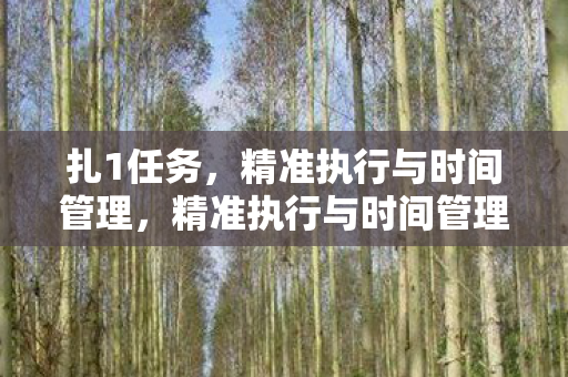 扎1任务，精准执行与时间管理，精准执行与时间管理，高效完成扎1任务的秘诀