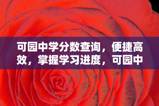 可园中学分数查询图片