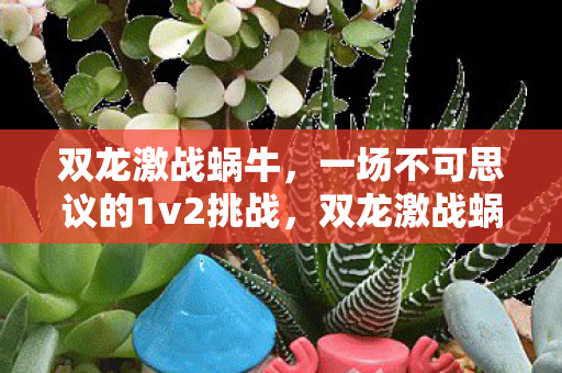 双龙激战蜗牛，一场不可思议的1v2挑战，双龙激战蜗牛，不可思议的1v2挑战