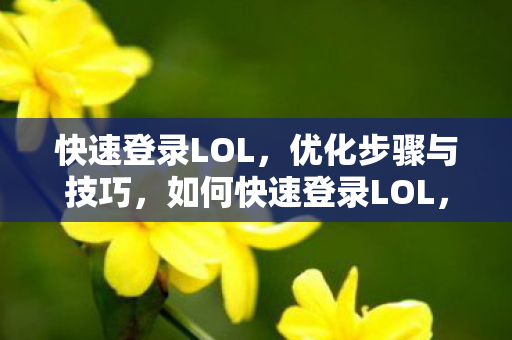 快速登录LOL，优化步骤与技巧，如何快速登录LOL，优化步骤与技巧