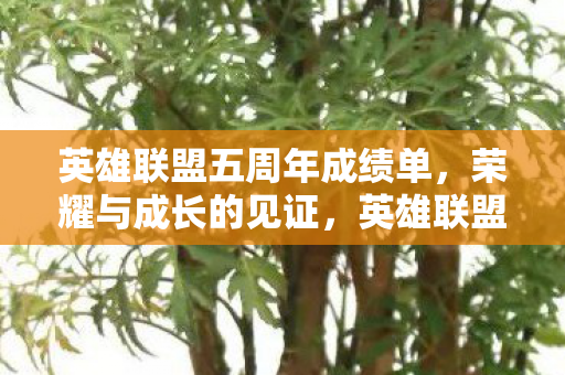 英雄联盟五周年成绩单，荣耀与成长的见证，英雄联盟五周年荣耀成绩单，见证成长与辉煌