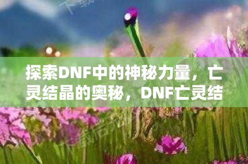 探索DNF中的神秘力量，亡灵结晶的奥秘，DNF亡灵结晶，探索神秘力量之源