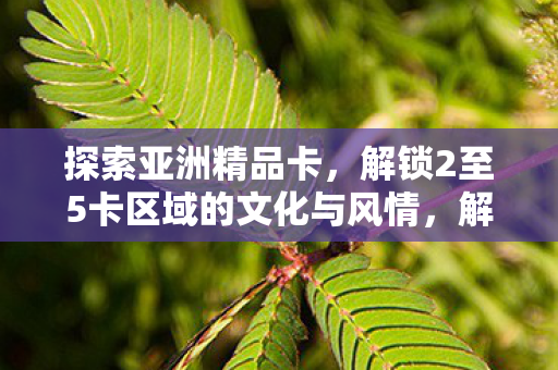 解锁2至5卡区域的文化与风情图片