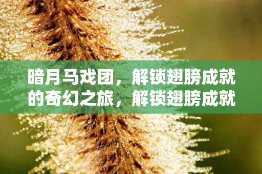 暗月马戏团，解锁翅膀成就的奇幻之旅，解锁翅膀成就，暗月马戏团的奇幻之旅