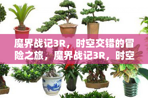 时空交错的冒险之旅图片